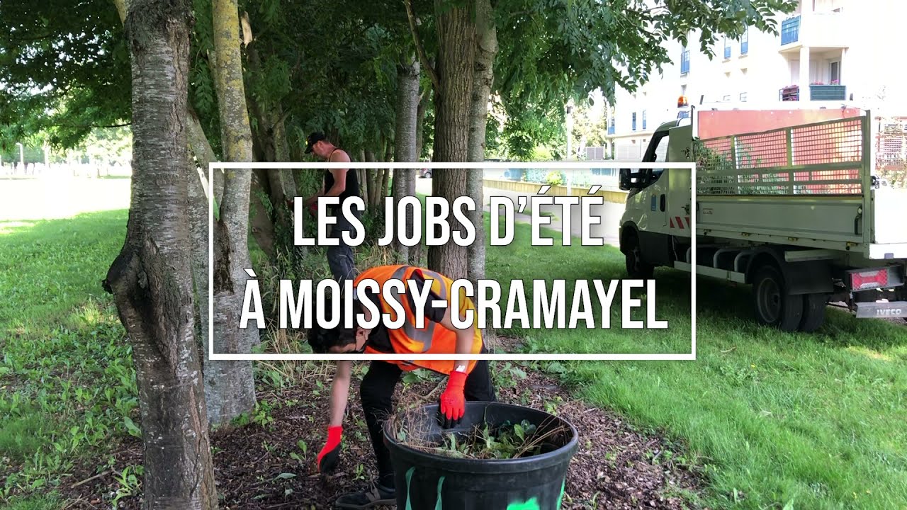 Les jobs d'été à Moissy