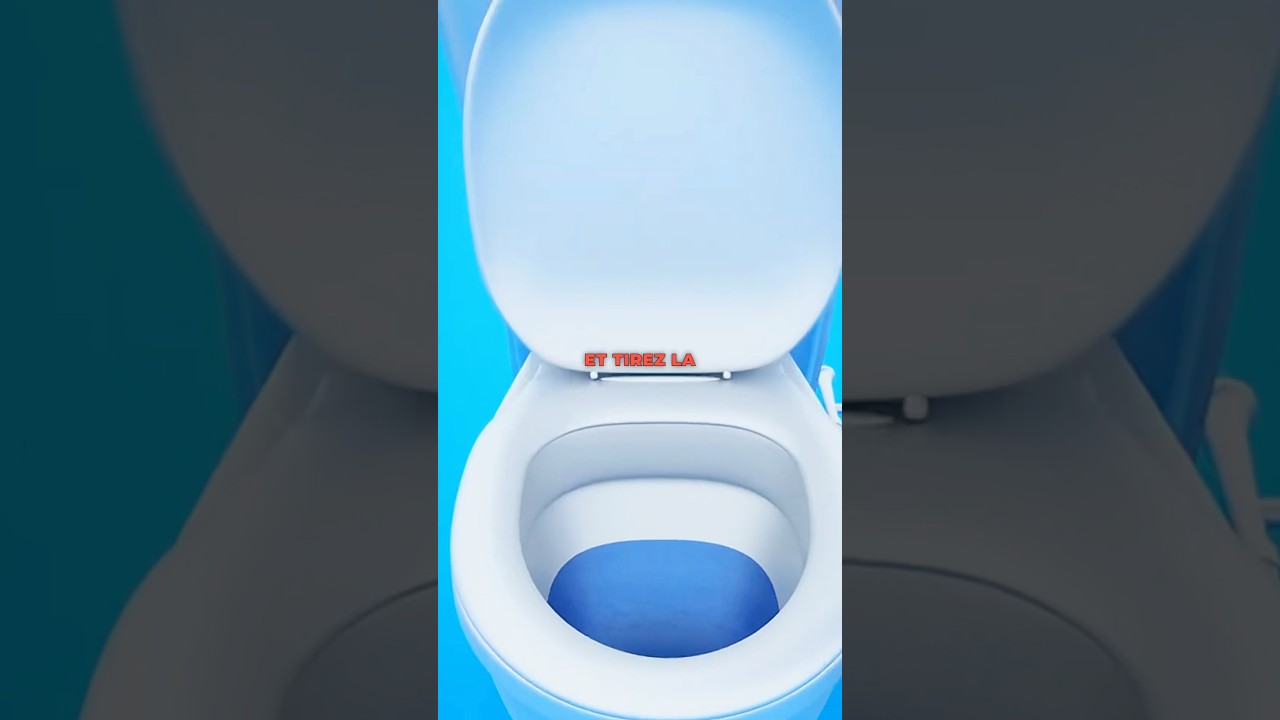 Comment déboucher une canalisation de toilette 😳